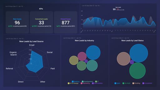 Salesforce Leads Overview