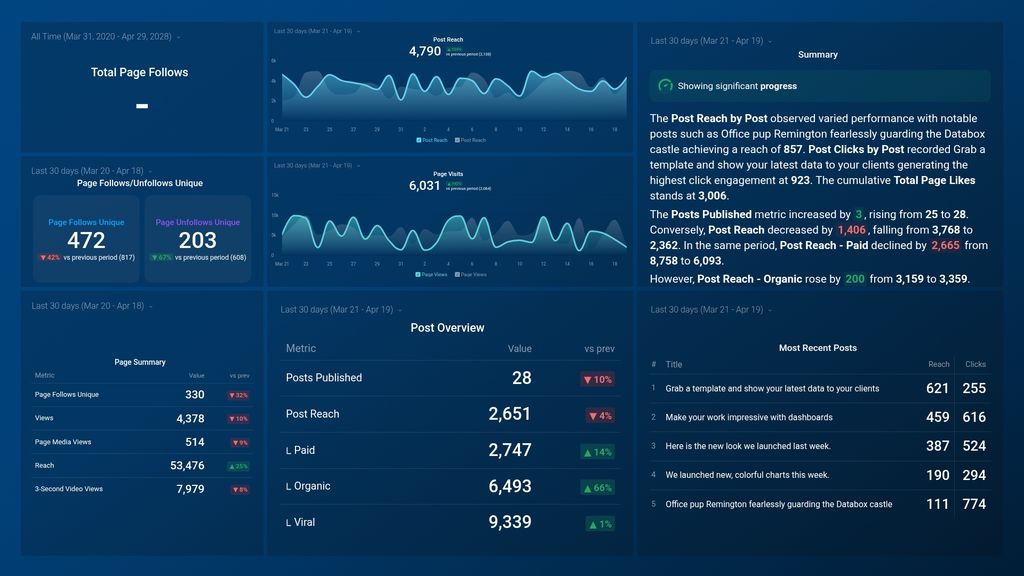 Facebook Insights Dashboard Template (Page Insights)