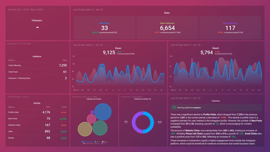 Instagram Business Dashboard Template